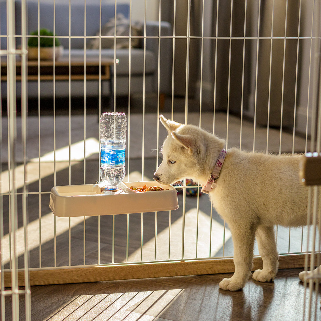 IRIS USA, Pet Crate Water Feeder, Beige - IRIS USA, Inc.