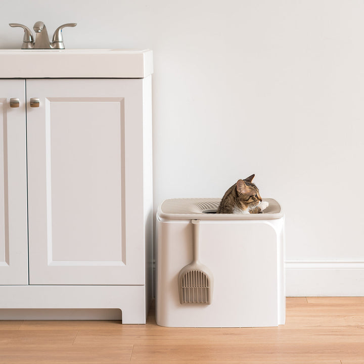 IRIS USA Premium Top Entry Cat Litter Box PRCL-SQ, White - IRIS USA, Inc.