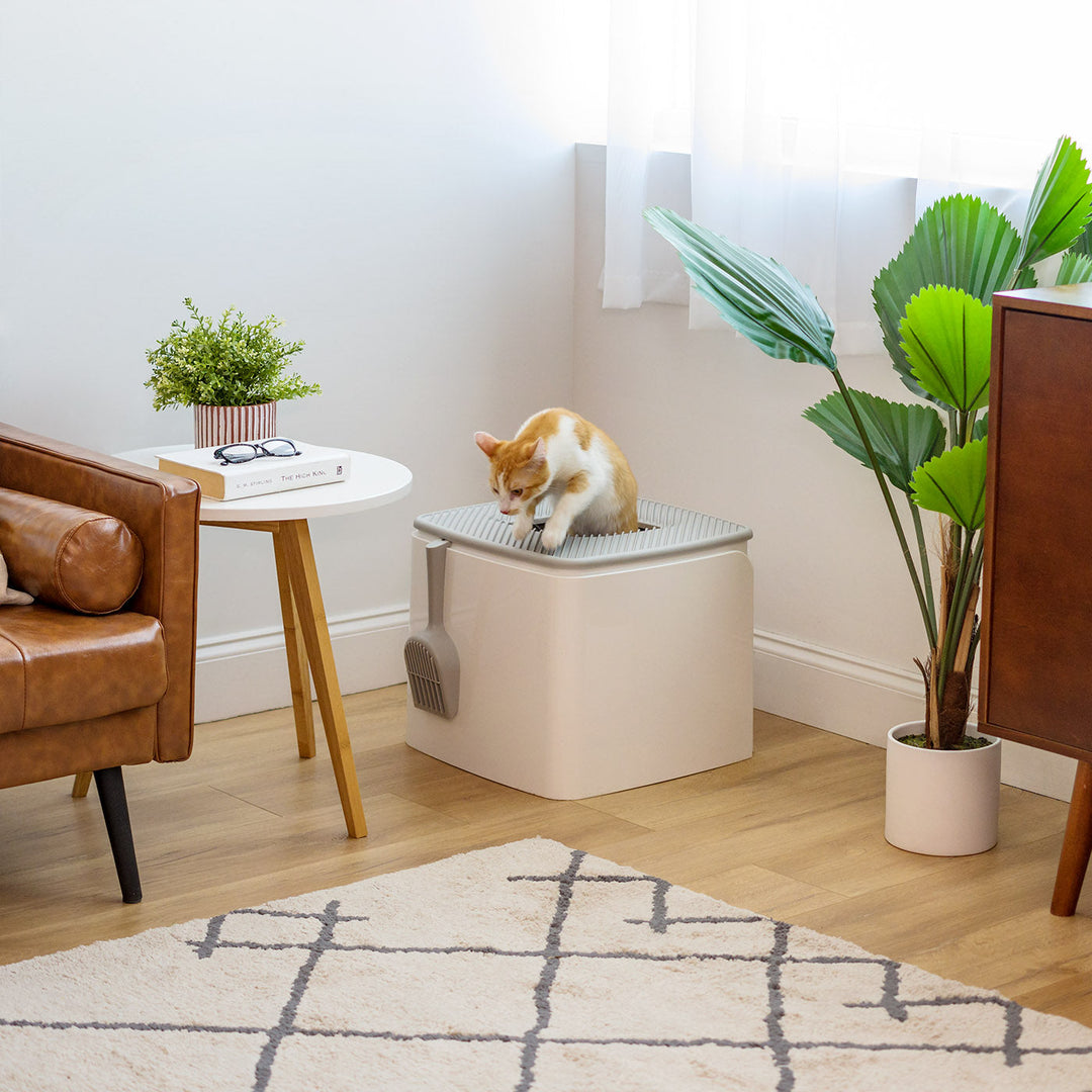 Premium Top Entry Cat Litter Box PRCL-SQ, White – IRIS USA