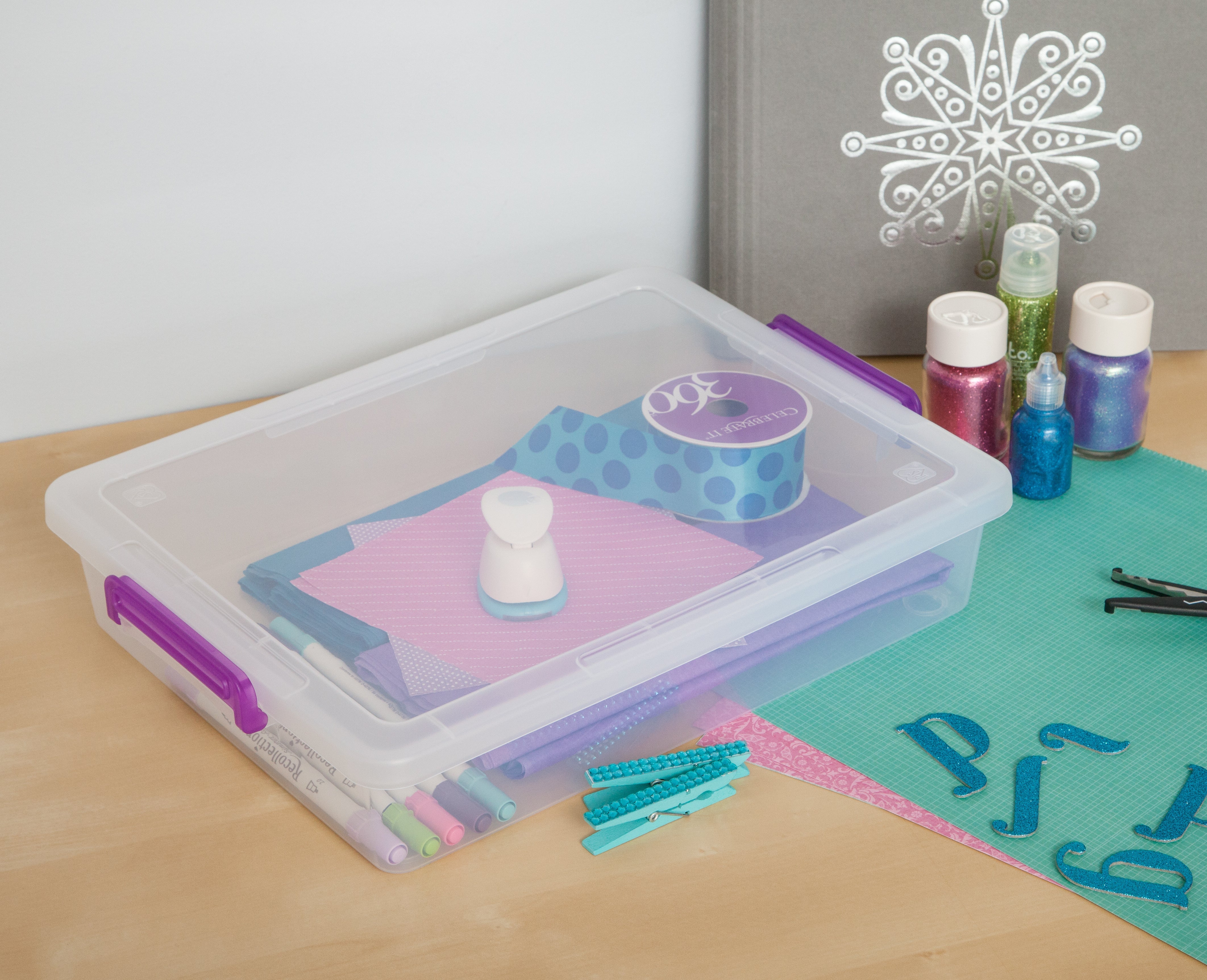 Large Modular Latching Box - Purple Handle, 6 Pack, Clear – IRIS USA