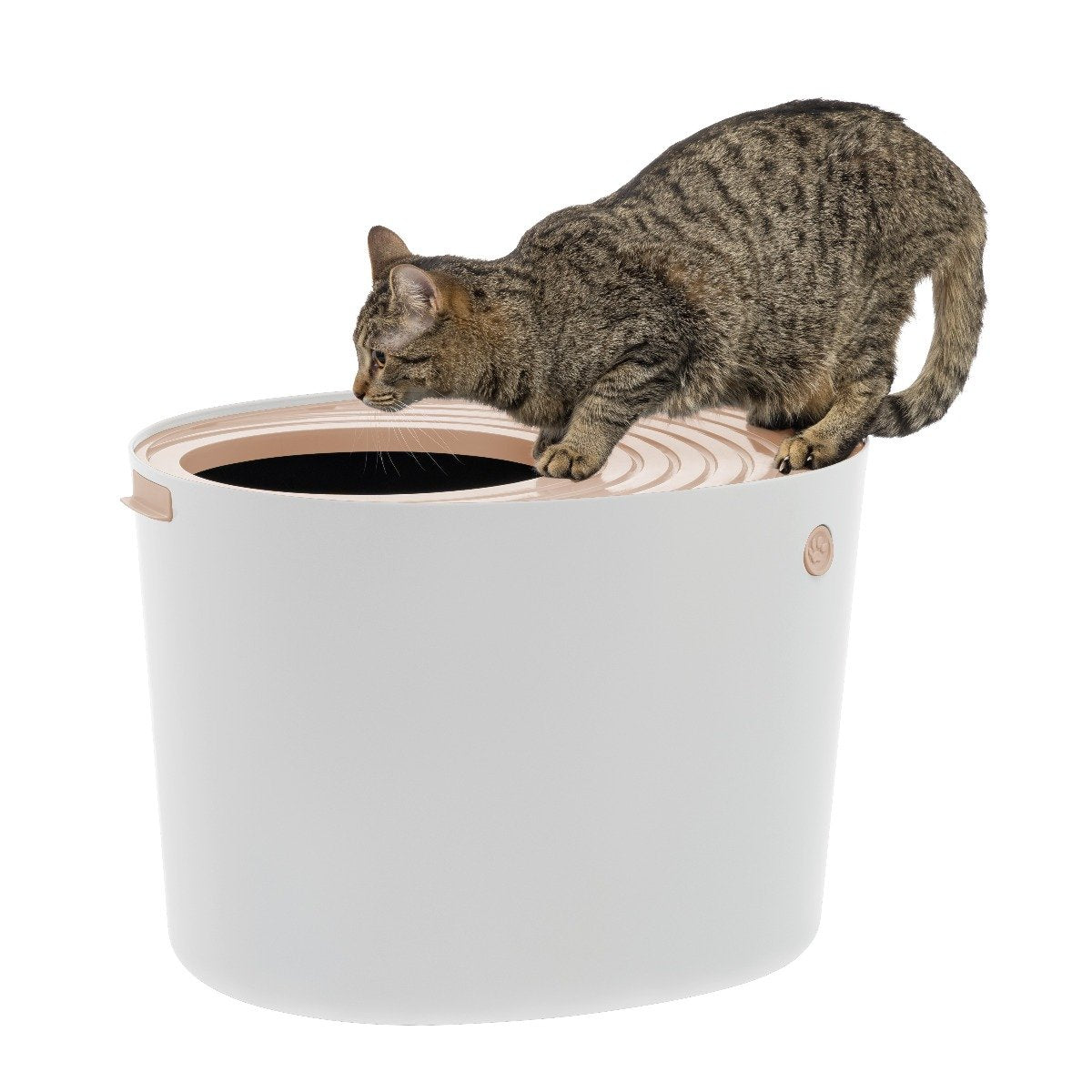 Bingopaw Extra Large Cat Litter Box Fully Enclosed Splash-Proof and Le –  BingoPaw