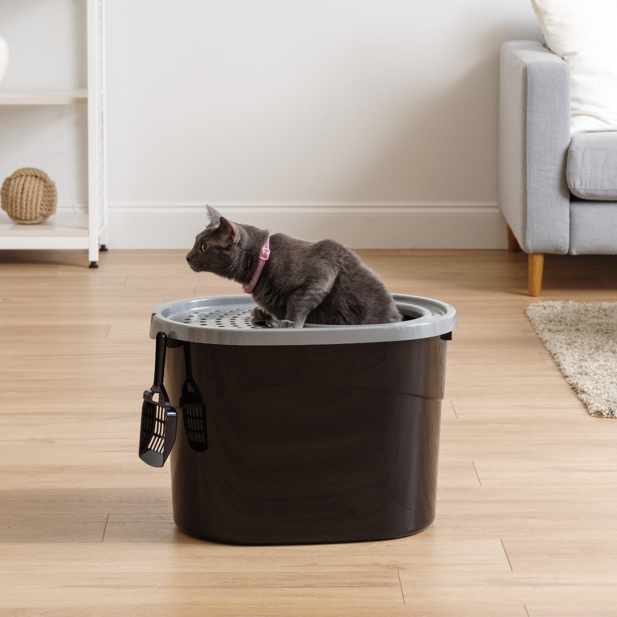 Top Entry Cat Litter Pan with Perforated Lid IRIS USA