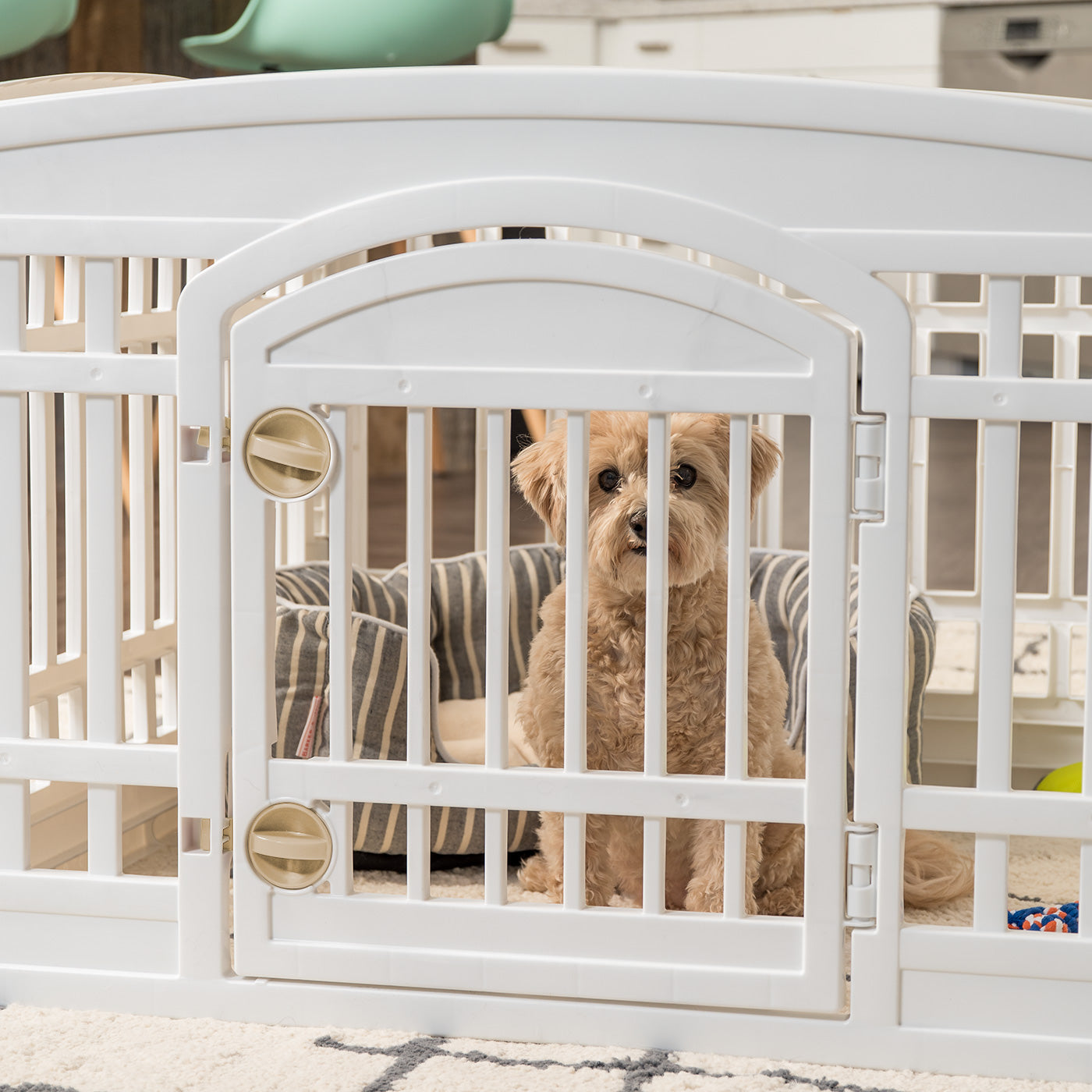 IRIS USA 24 inch 6 Panel Exercise Pet Playpen with Door White