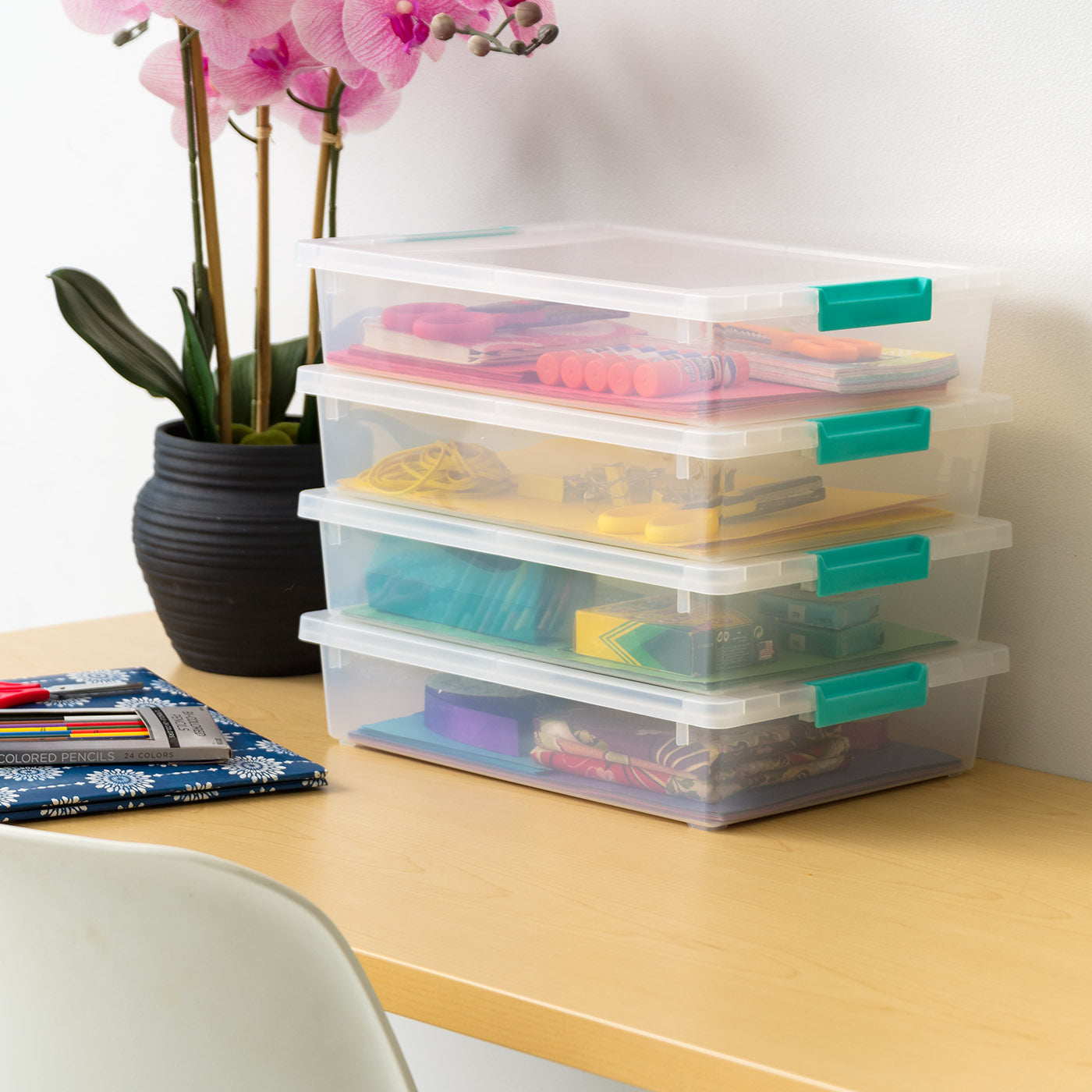 Clip Box - 6 QT – IRIS USA