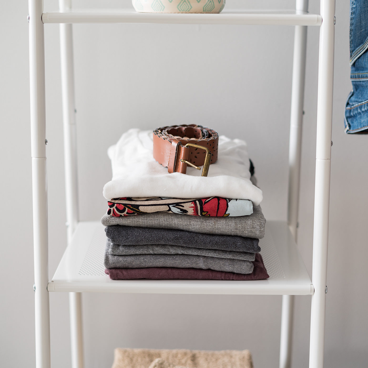Metal Garment Rack with Metal Mesh Shelves IRIS USA
