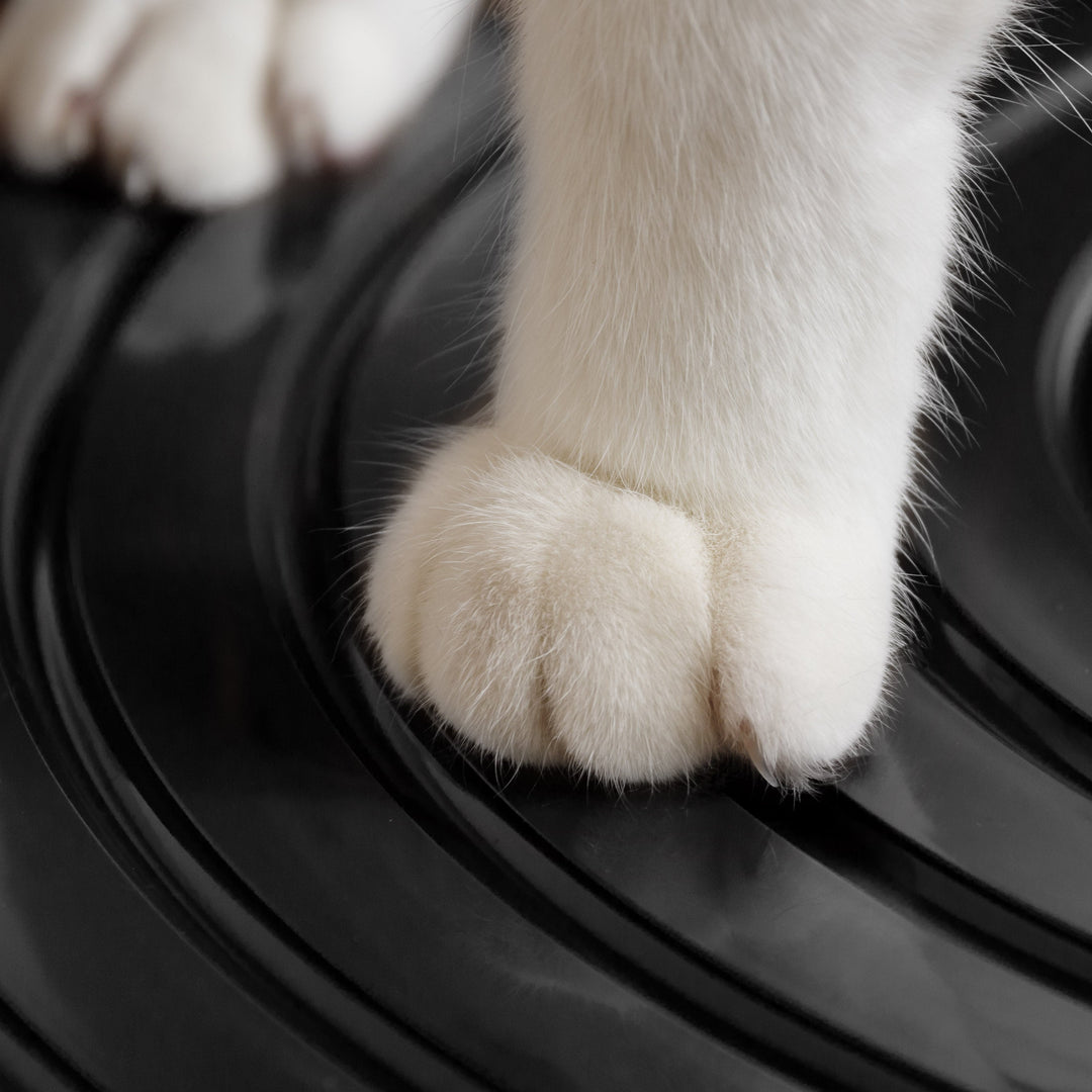 IRIS USA, Top Entry Cat Litter Box with Scoop, White/Black - IRIS USA, Inc.