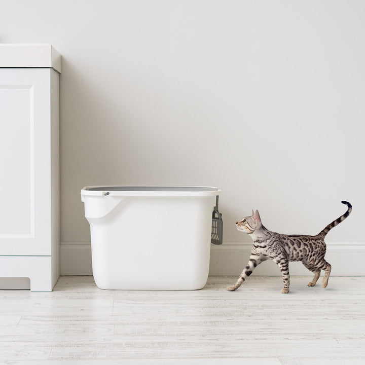 IRIS USA Top Entry Cat Litter Box with Scoop, White/Gray - IRIS USA, Inc.