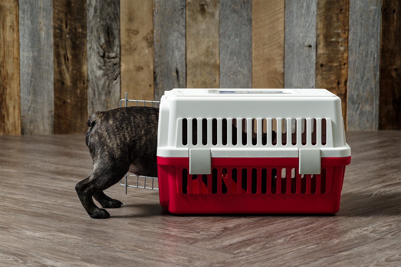 Iris deluxe pet travel carrier 2025