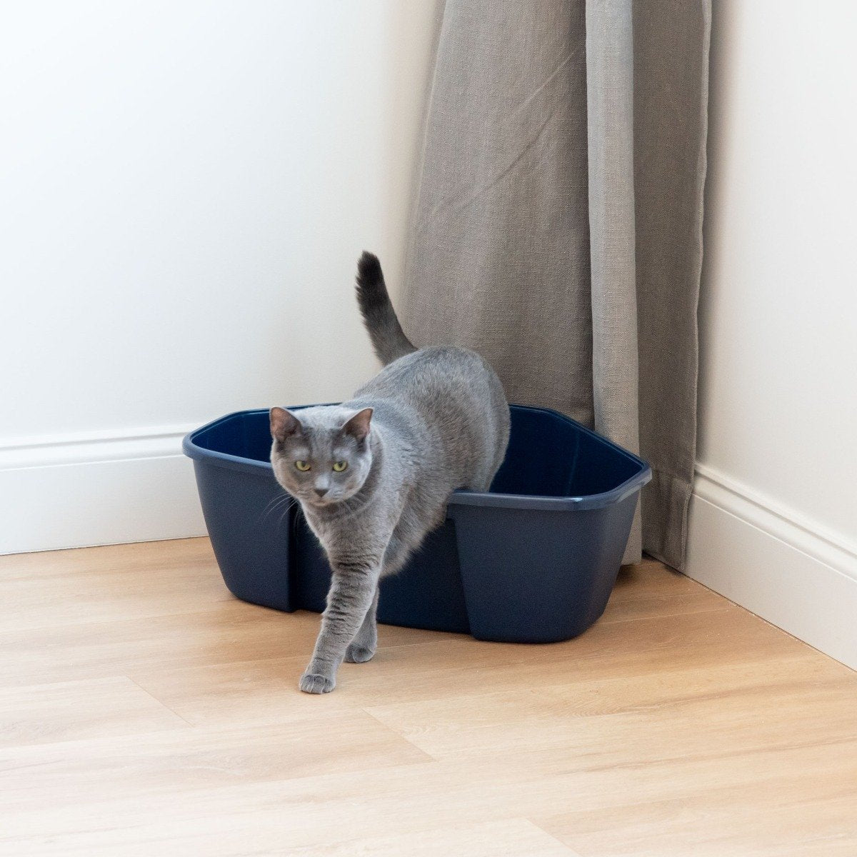 Jumbo corner litter online box