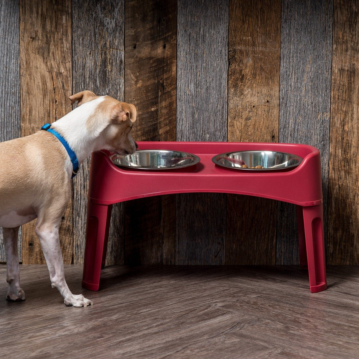 Elevated Feeder Large IRIS USA Inc