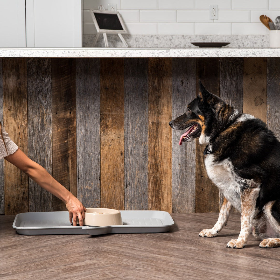 Large "WOOF" Feeding Mat for Dog or Cat, Light Gray - IRIS USA, Inc.