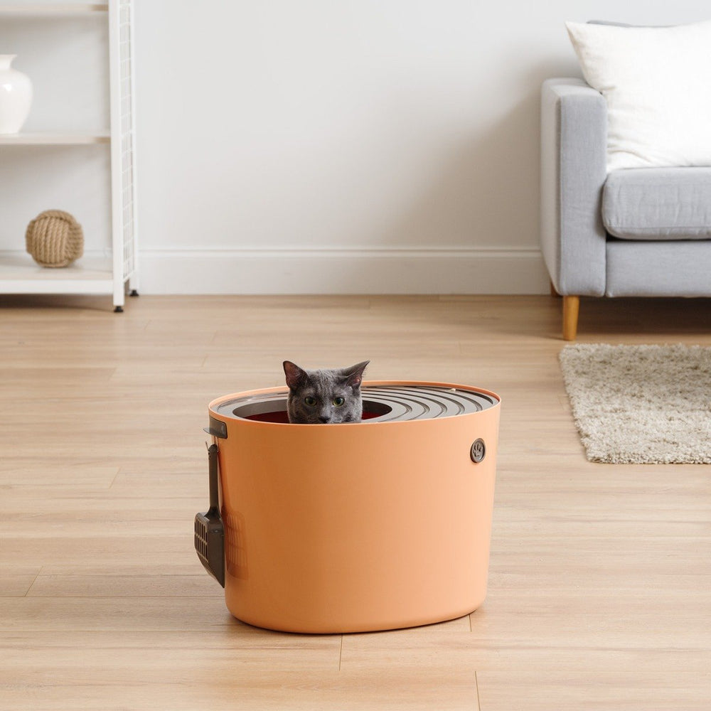 Top Entry Cat Litter Pan - Medium - image 1#color_orange