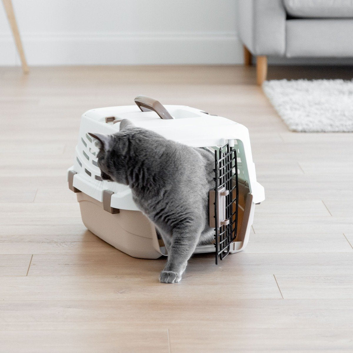 Pet Travel Carrier - Small – IRIS USA
