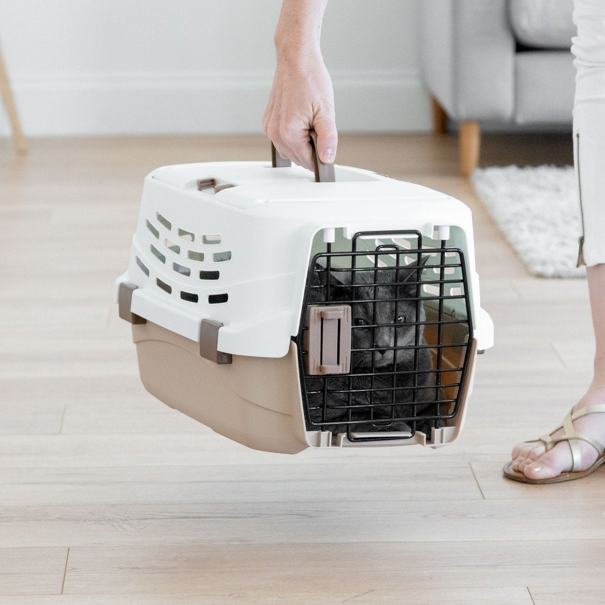 Iris small deals animal carrier